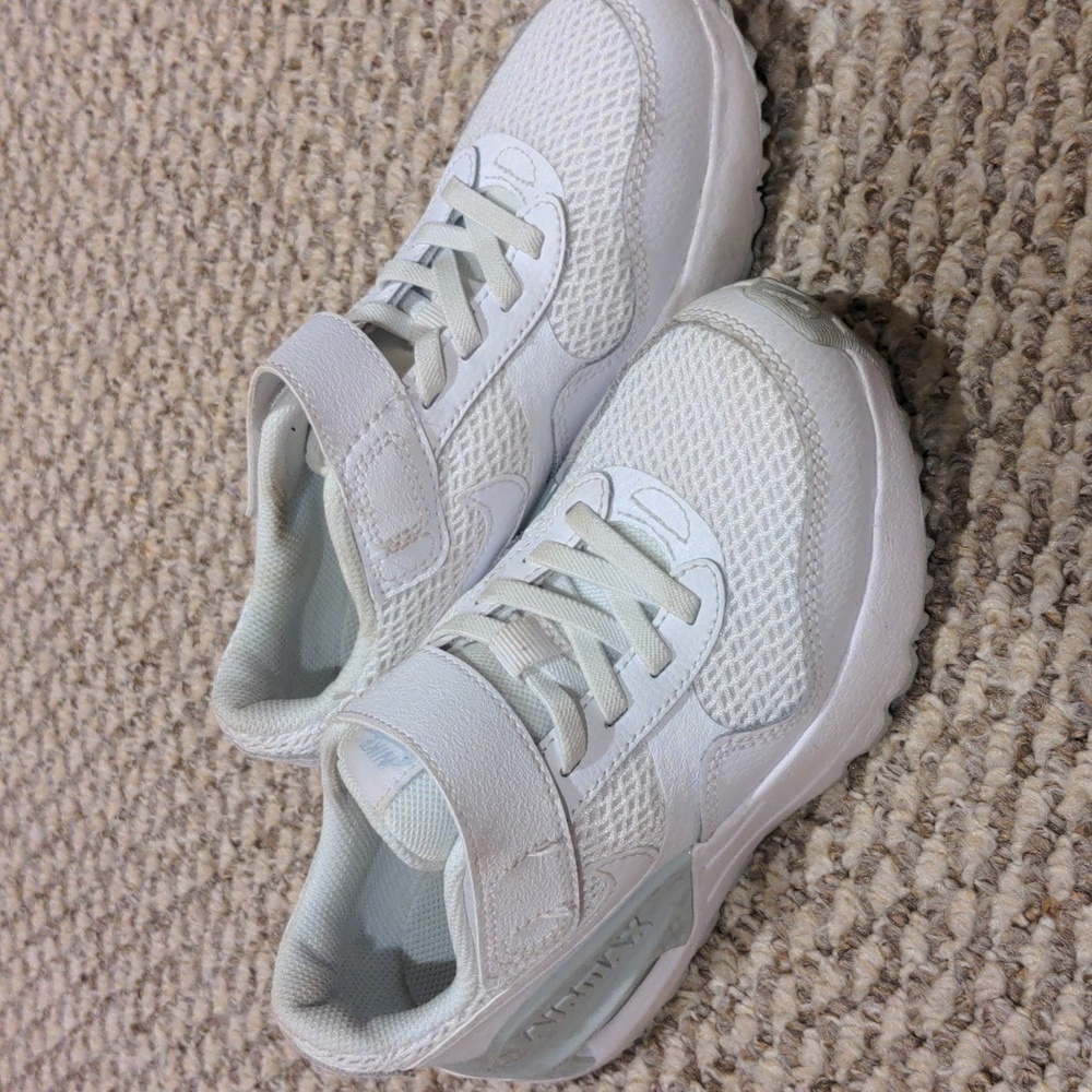 Boys Nike AirMax shoes